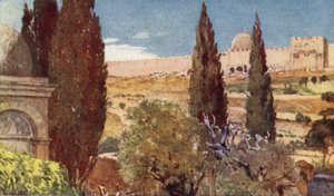 Die Zypressen des Gartens von Gethsemane von John Fulleylove