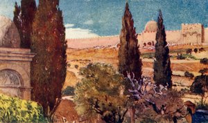 Die Zypressen des Gartens von Gethsemane, 1902