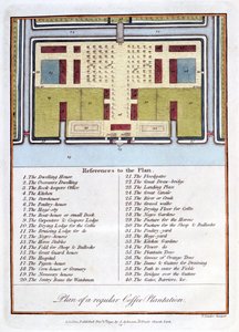 Plan einer regulären Kaffeeplantage, 1813 von John Gabriel Stedman