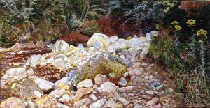 Ein felsiger Bach von John George Sowerby