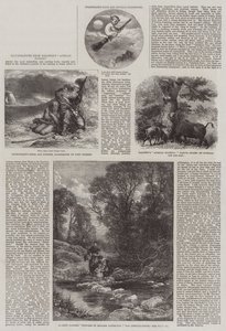 Illustrationen aus Baldwins Afrikanische Jagd