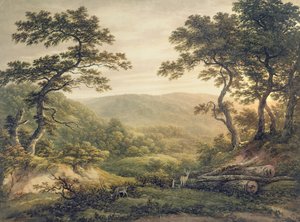 Nadelwald, Hampshire von John Glover