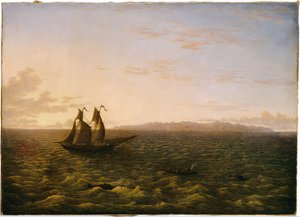 Die Insel Madeira