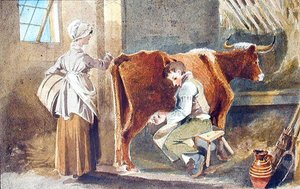 Melken von John Harden