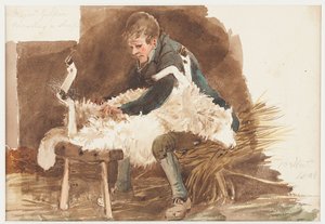 Schafe scheren, 1808