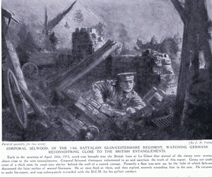 Korporal Selwood gewann ein DCM für die Beobachtung von Deutschen, die nahe an britischen Verstrickungen bei Le Gheer im April 1915 erkundeten