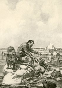 Dr. Grenfell treibt auf einer Eisscholle von John Harris Valda