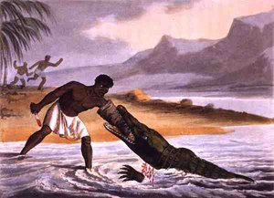 Die afrikanischen Krokodiljäger, graviert von Matthew Dubourg (fl. 1785-1820), veröffentlicht von Edward Orme