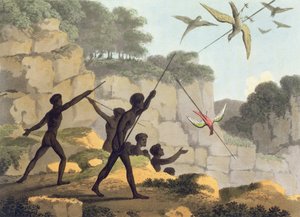 Speerwerfen, Aborigines jagen Vögel aus New South Wales, graviert von Matthew Dubourg, veröffentlicht 1813