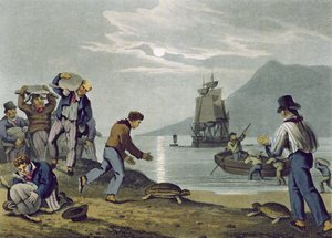 Schildkrötenfang an Land, graviert von Matthew Dubourg, veröffentlicht von Edward Orme, 1813 von John Heaviside Clark