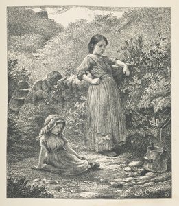 Tafel 16. Zwei junge Mädchen. Nature Pictures. Eine Serie von dreißig Originalillustrationen, auf Holz gezeichnet von J. H. Dell und graviert von R. Paterson. John Henry Dell