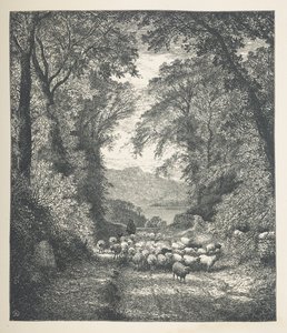 Tafel 4. Schafe, die von einem Schäfer entlang eines Pfades getrieben werden. Naturbilder. Eine Serie von dreißig Originalillustrationen, auf Holz gezeichnet von J. H. Dell und graviert von R. Paterson
