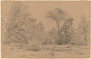 Landschaft, früher Frühling