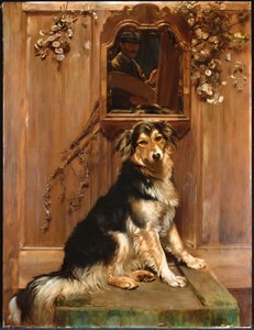 Ein Hund und ein Spiegel