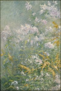 Wiesenblumen (Goldrute und Wildaster), ca. 1892