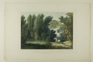 Ansicht des Ortes, an dem General Ross fiel, in der Nähe von Baltimore, Platte sechs der ersten Nummer von Picturesque Views of American Scenery von John Hill
