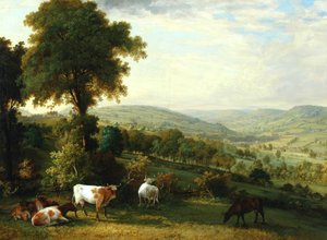 Blick auf Shibden Valley