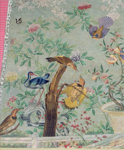 Ein nördlicher Flicker, ausgeschnitten aus Die Vögel Amerikas und auf handbemalte chinesische Tapete geklebt
