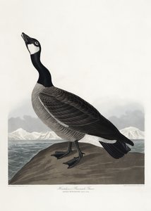 Hutchins