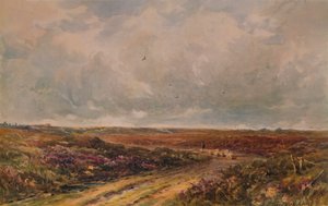 Stürmischer Tag auf einem Surrey Common, 19.-20. Jahrhundert, 1935