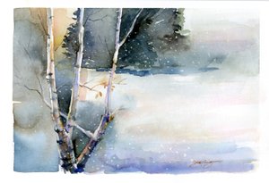 Birke im Winter, 2015