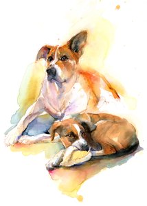 Charlie und Sally