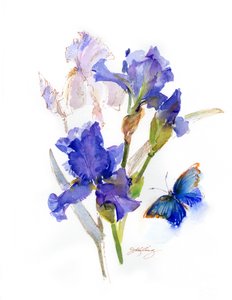 Iris mit blauem Schmetterling von John Keeling