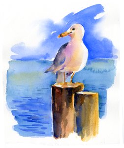 Möwe auf dem Dock von John Keeling