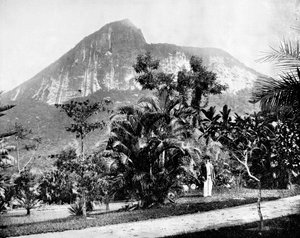 Botanische Gärten und der Berg Corcovado, Rio de Janeiro, Brasilien, 1893