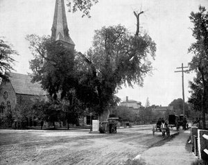 Washington Elm und Gedenkstein, Cambridge, Massachusetts, USA von John L. Stoddard