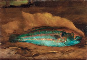 Studie des Papageienfisches, Samoa, 1890