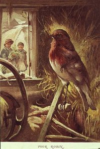 Armer Robin, Illustration aus 