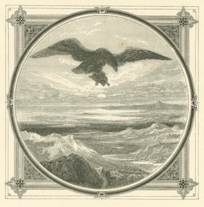 Je höher der Aufstieg, desto größer der Fall