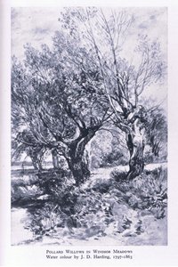 Holzfäller am Rande des Windsor Forest, Nature in Britain, veröffentlicht von Collins von John Linnell