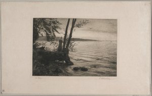 Flieg Vogel, flieg