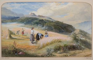 Erntefeld, Arran von John MacWhirter