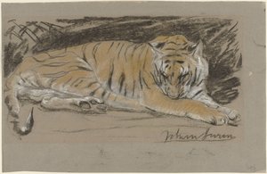 Tigerin