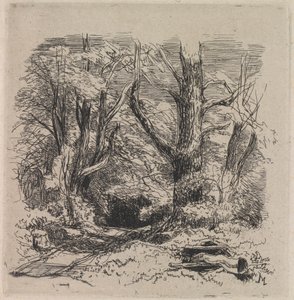 Ein Pfad durch den Wald von John Middleton