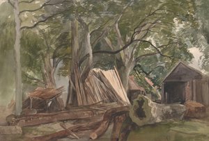 Lichtung mit einem Sägewerk, 1847 von John Middleton