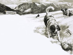 So ist das... Diese Berghunde werden St. Bernhardshunde genannt von John Millar Watt