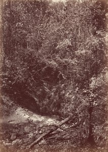 Darien-Expedition von John Moran