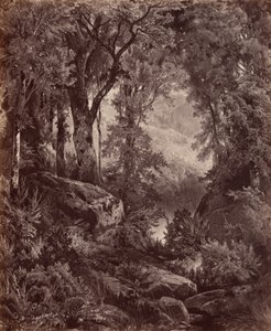 Einsamkeit von John Moran