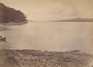 Tropische Landschaft, Darien Hafen - Blick nach Süden, 1871 von John Moran