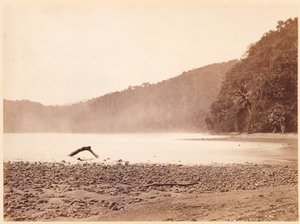 Tropische Landschaft: Der Endpunkt des vorgeschlagenen Kanals, Limon Bay (Darien-Expedition) von John Moran
