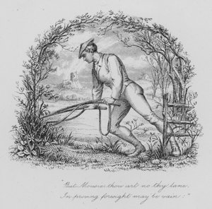 Robert Burns: An eine Maus