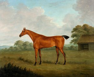 Kastanienbraunes Pferd in einer Landschaft, 1815