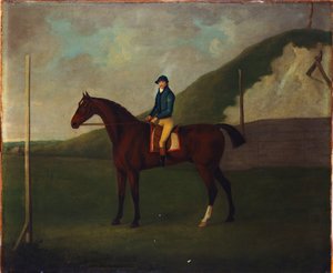 "Creeper", ein braunes Fohlen mit Jockey am Startpunkt am Running Gap im Devils Ditch, Newmarket von John Nott Sartorius