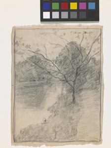 Baum neben einem Bach