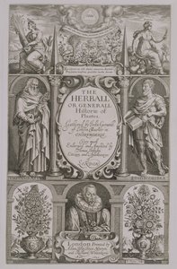 Titelseite der zweiten Ausgabe von The Herball von John Gerard, 1633 von John Payne