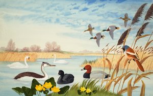 Naturszene von John Rignall